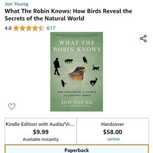 What The Robin Knows